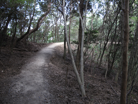 20140922hike (136)